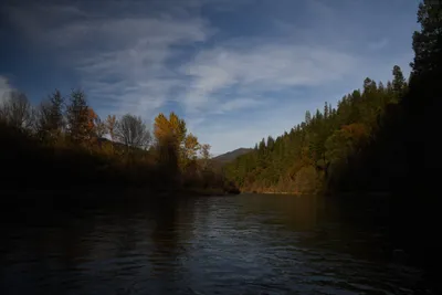 DSC_0288 (Large).JPG